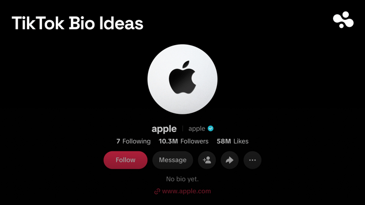 TikTok Bio Ideas: 12 Good Bios Under 80 Characters